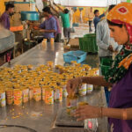 food processing india